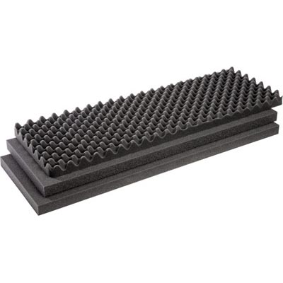 1721FS Protector