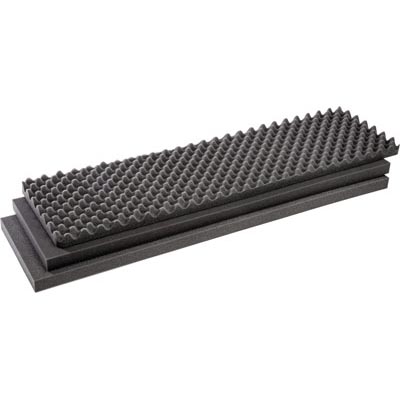 1751FS Protector