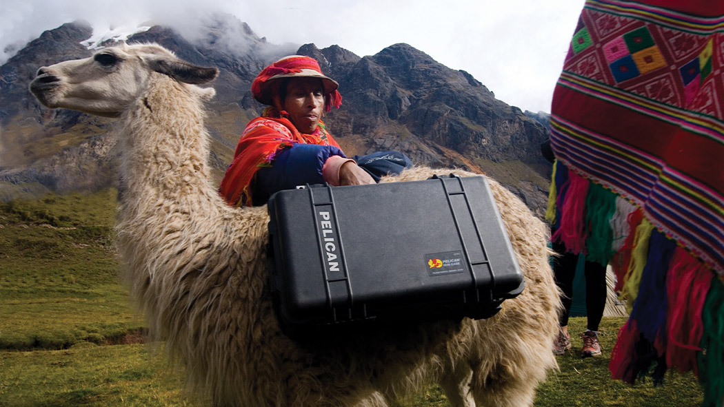 case on llama