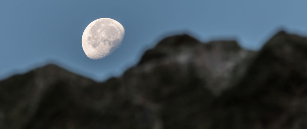 Header Image