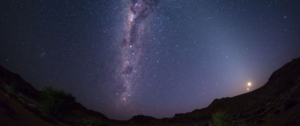 Header Image