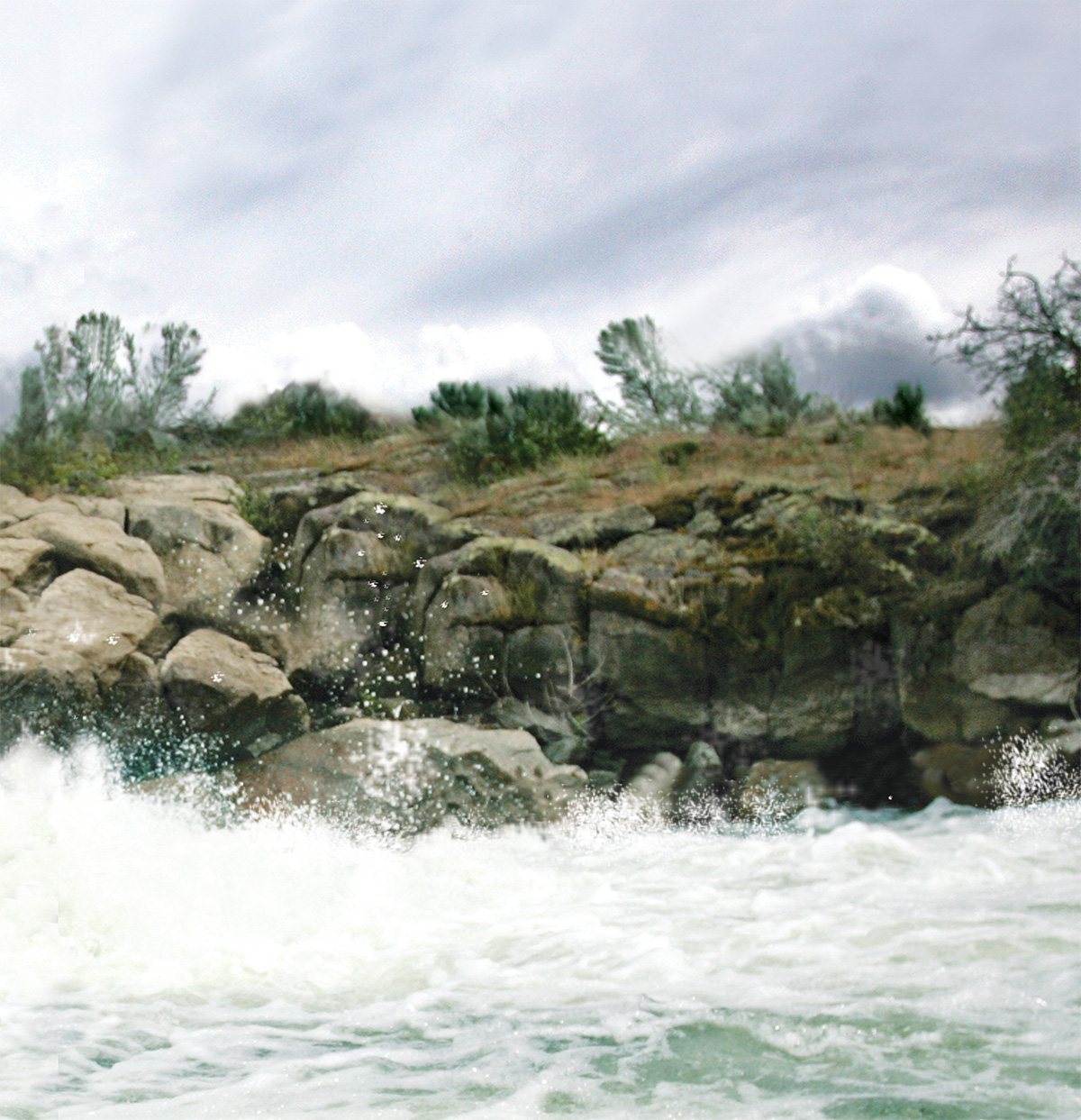 Header Image