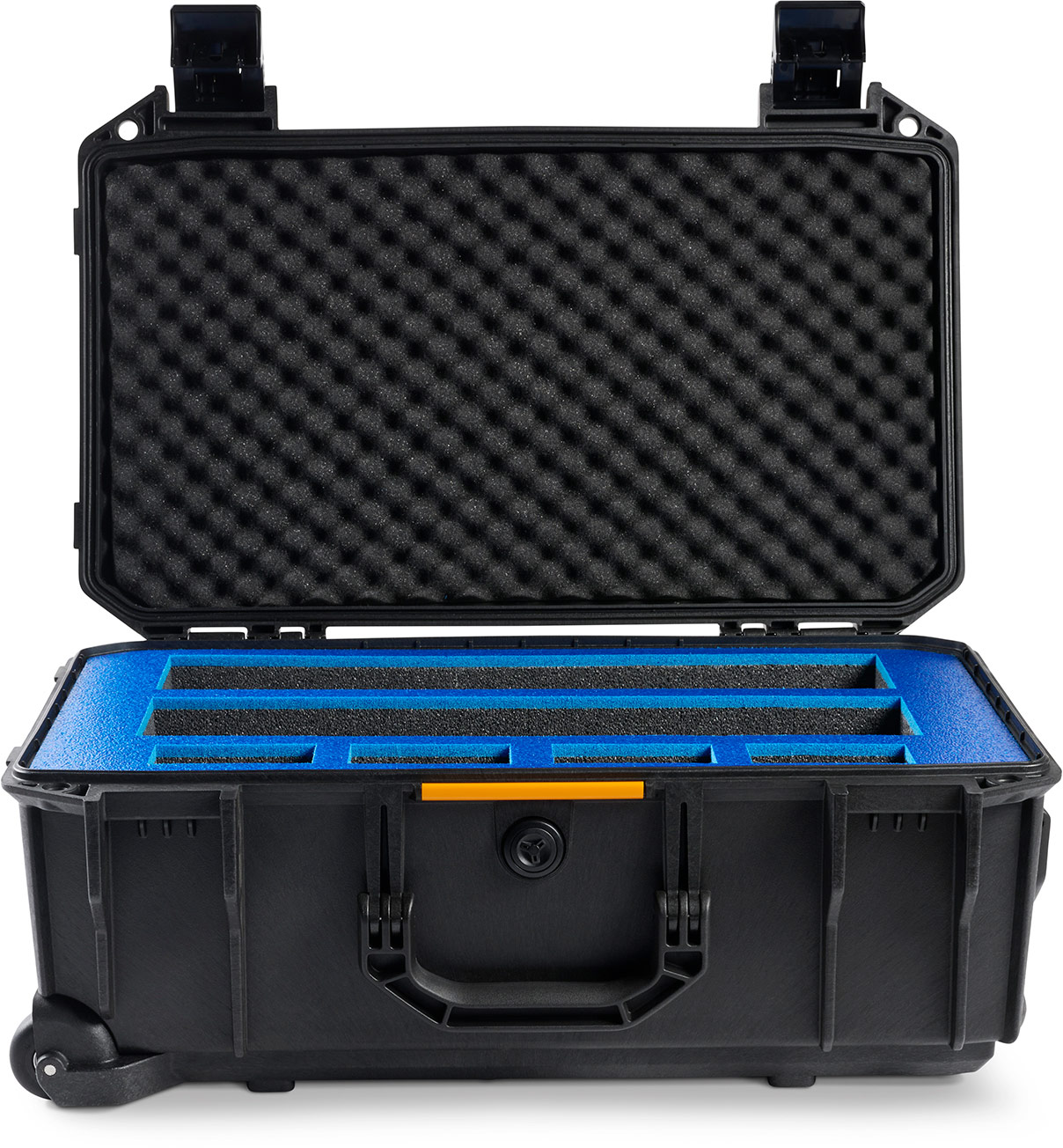 pelican graded card case You Totally Earned It